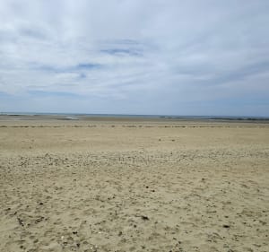 Promenade à la pointe du Banc - Corentin - 3