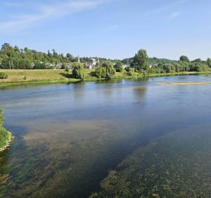 Les bords de Loire avec un finish à la guinguette - Langeais - 2