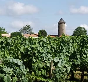 Chateau-Thébaud-Circuit du chant des trois ruisseaux - Château-Thébaud - 2