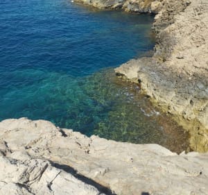 Visite entre mer et terre à Saint-Cyr-sur-Mer - Saint-Cyr-sur-Mer - 5