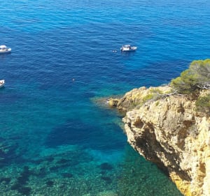 Visite entre mer et terre à Saint-Cyr-sur-Mer - Saint-Cyr-sur-Mer - 4