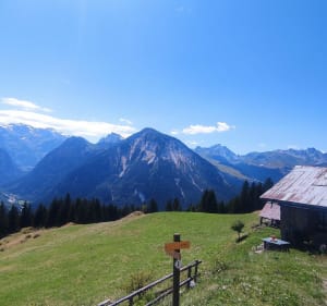 Boucle des alpages ouest de Champagny-en-Vanoise - Champagny-en-Vanoise - 5