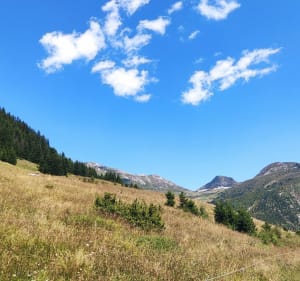 Boucle des alpages ouest de Champagny-en-Vanoise - Champagny-en-Vanoise - 3