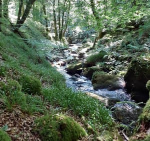 Le ruisseau Galingard et ses cascades - Lestards - 3