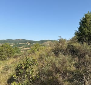 Domaine de l’Espinet et la Garie - Quillan - 4