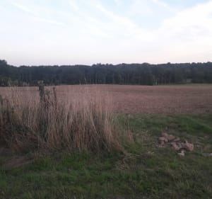 Promenade à Painvoisin - Arnaud - 2