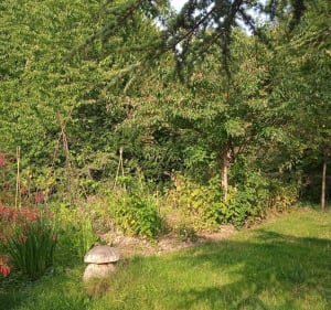 Parcs de la Solitude et du fort de Mons-en-Baroeul - Mons-en-Barœul - 4
