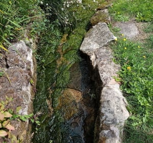 Autour de Granges-sur-Vologne - Granges-Aumontzey - 2