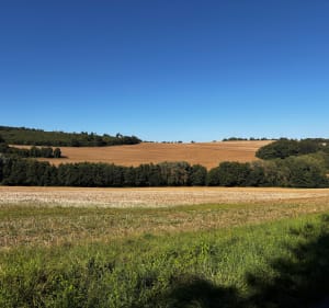 Randonnée Montauville et Bois le Prêtre - Montauville - 3