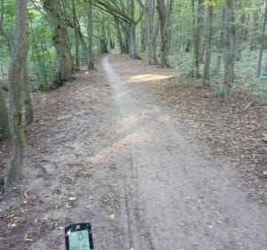 Nadleśnictwo Dojlidy - Białystok - 2