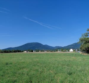 De Soultz à la Ferme Auberge du Kohlschlag - Soultz-Haut-Rhin - 3
