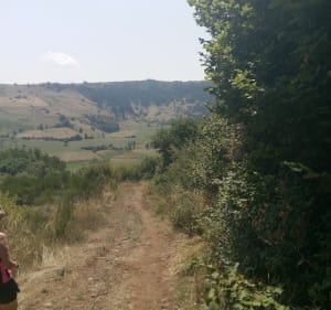 Signal du Luguet - Anzat-le-Luguet - 3