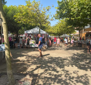 Promenade long de l’océan à Biscarrosse - Biscarrosse - 5