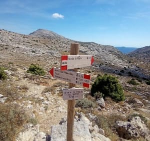 Magnifique randonnée de Maccione à Punta Carabidda - 5