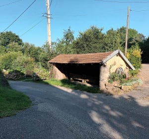 Balade de Ban de laveline au champ de cheval - Ban-de-Laveline - 2