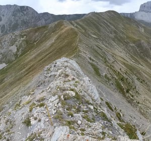 La Foux / Col d'allos / Tete de Vescal - Allos - 2