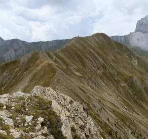 La Foux / Col d'allos / Tete de Vescal - Allos - 3