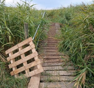 Petite marche entre bord de mer et campagne - Mortagne-sur-Gironde - 5