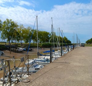 Petite marche entre bord de mer et campagne - Mortagne-sur-Gironde - 2