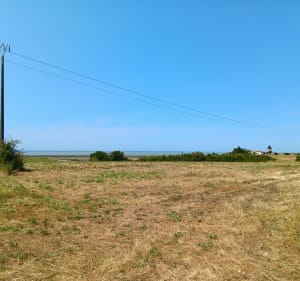 Petite marche entre bord de mer et campagne - Mortagne-sur-Gironde - 3