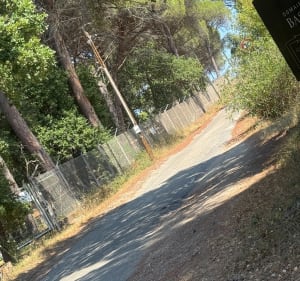 Balade tranquille en vélo au Luc - Sandrine - 2
