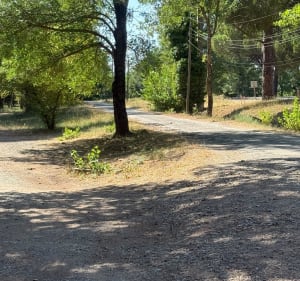 Balade tranquille en vélo au Luc - Le Cannet-des-Maures - 2