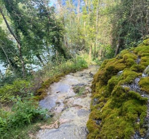 Halage chemin à Le Port de St Gervais - Saint-Gervais - 5
