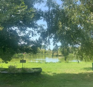 Balade entre champs et au bord de l’eau à Sancourt - Sancourt - 3