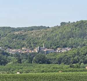 Entre Terre et Vignes à Albas - Albas - 5