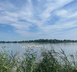 Ośrodek Sosenka - Plaża Milicz - Marta - 2