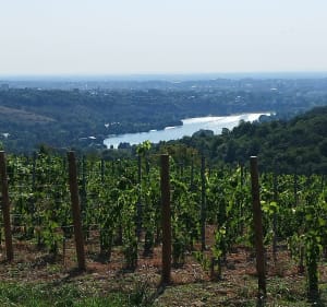 Belle Vue sur Dijon et la Vallée de l'Ouche - Marsannay-la-Côte - 5