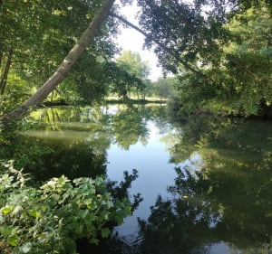 Balade sur la vallée d'Eure d'Autheuil-Authouillet - Champenard - 4