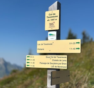Col de Tavaneuse - Lac de Tavaneuse - Montriond - 3