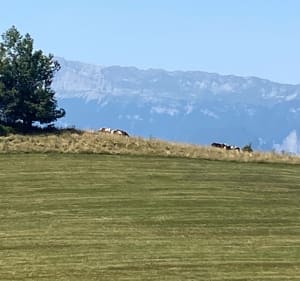 Boucle par le col de la Madeleine - Séchilienne - 3