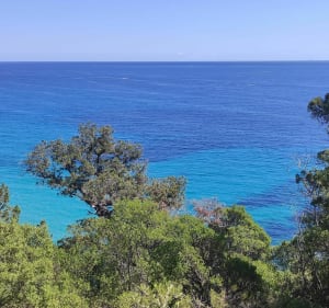 Cala Fuili - Grotta del Bue Marino - 2