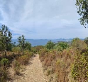 Sentier du mémorial des Pompiers au Lavandou - Le Lavandou - 4