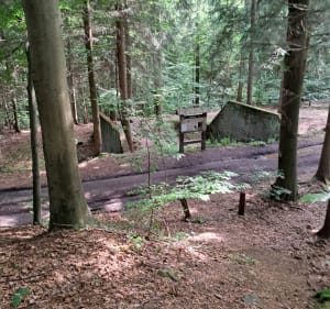 Przełęcz Walimska-ruiny historyczne III Rzeszy - Głuszyca - 4