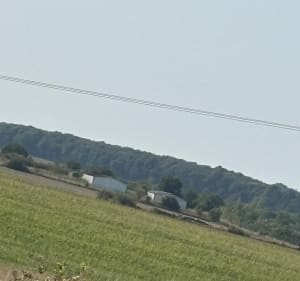 Bois de Bouligny - Dommary-Baroncourt - 2