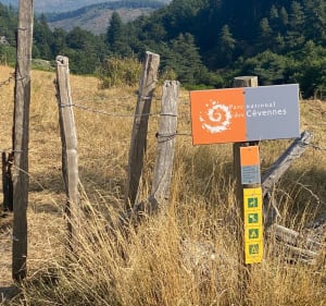 VTTe au Mt Aigoual - Lanuéjols - 5