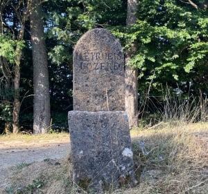 VTTe au Mt Aigoual - Lanuéjols - 4