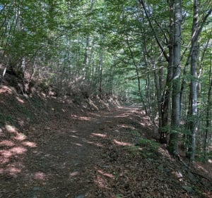 Sentier de Monfort, La Coume - Montfort-sur-Boulzane - 2