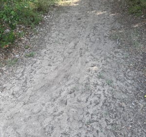 Sortie VTT Taupignac - Breuillet - 4