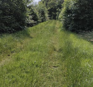 Villeneuve - Saint-Trivier à vélo - Villeneuve - 4
