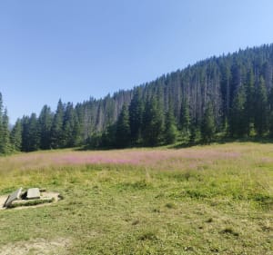 Droga Oswalda Balzera - Wiktorowki - Rusinowa Polana - Zakopane - 2