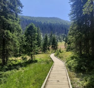 Droga Oswalda Balzera - Wiktorowki - Rusinowa Polana - Zakopane - 4