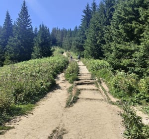 Droga Oswalda Balzera - Wiktorowki - Rusinowa Polana - Zakopane - 3