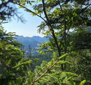 Tatry na spokojnie - Łysa Polana - 2