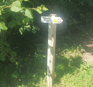 La croix des Monats jusqu'à la Pierre des 4 communes - Cornimont - 4