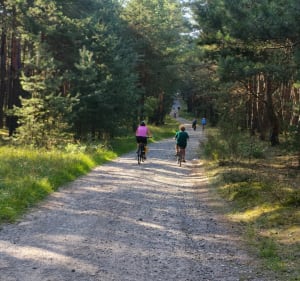 Park Załęczański i Wieszagi - Toporów - 2