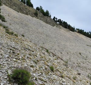 Boucle jusqu'au sommet de la Sapée et Col du Défens - Tartonne - 4